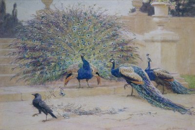 The Borrowed Plume by John Charles Dollman